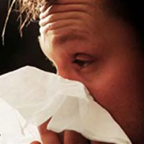 Virusul H1N1 a ucis 20 de oameni şi a îmbolnăvit alţi 658 în toată lumea 