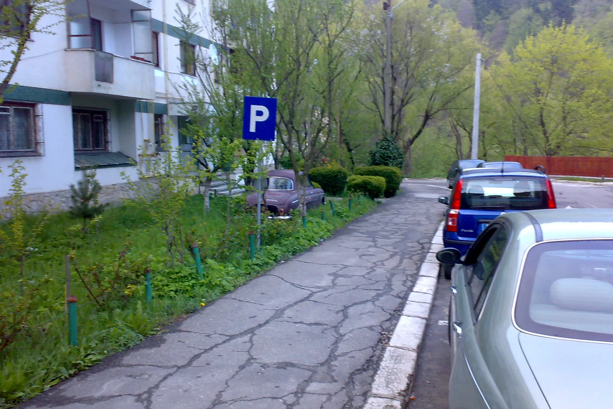 Maşină parcată pe spaţiul verde