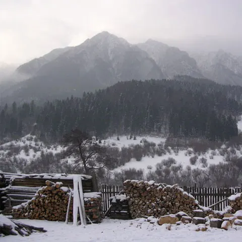 Voluntari de mediu, pădurari şi jandarmi au patrulat între 8 şi 10 mai în Parcul Piatra Craiului