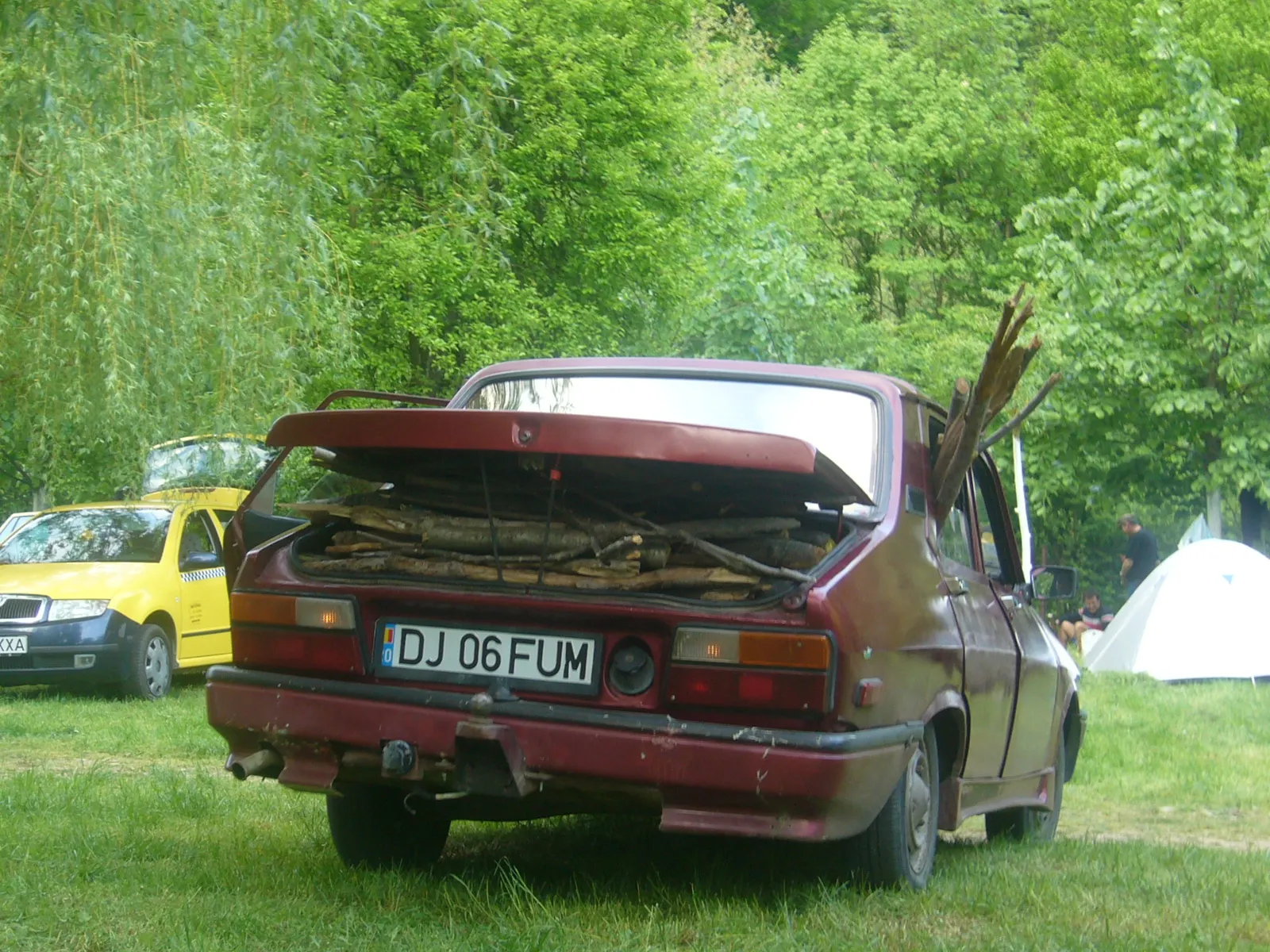 Românul la un picnic