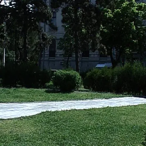 Spaţiile verzi, din Bucureşti, sunt din nou în pericol