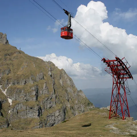 Salvamontiştii din Buşteni atrag atenţia că urşii şi-au făcut apariţia în zona traseelor montane