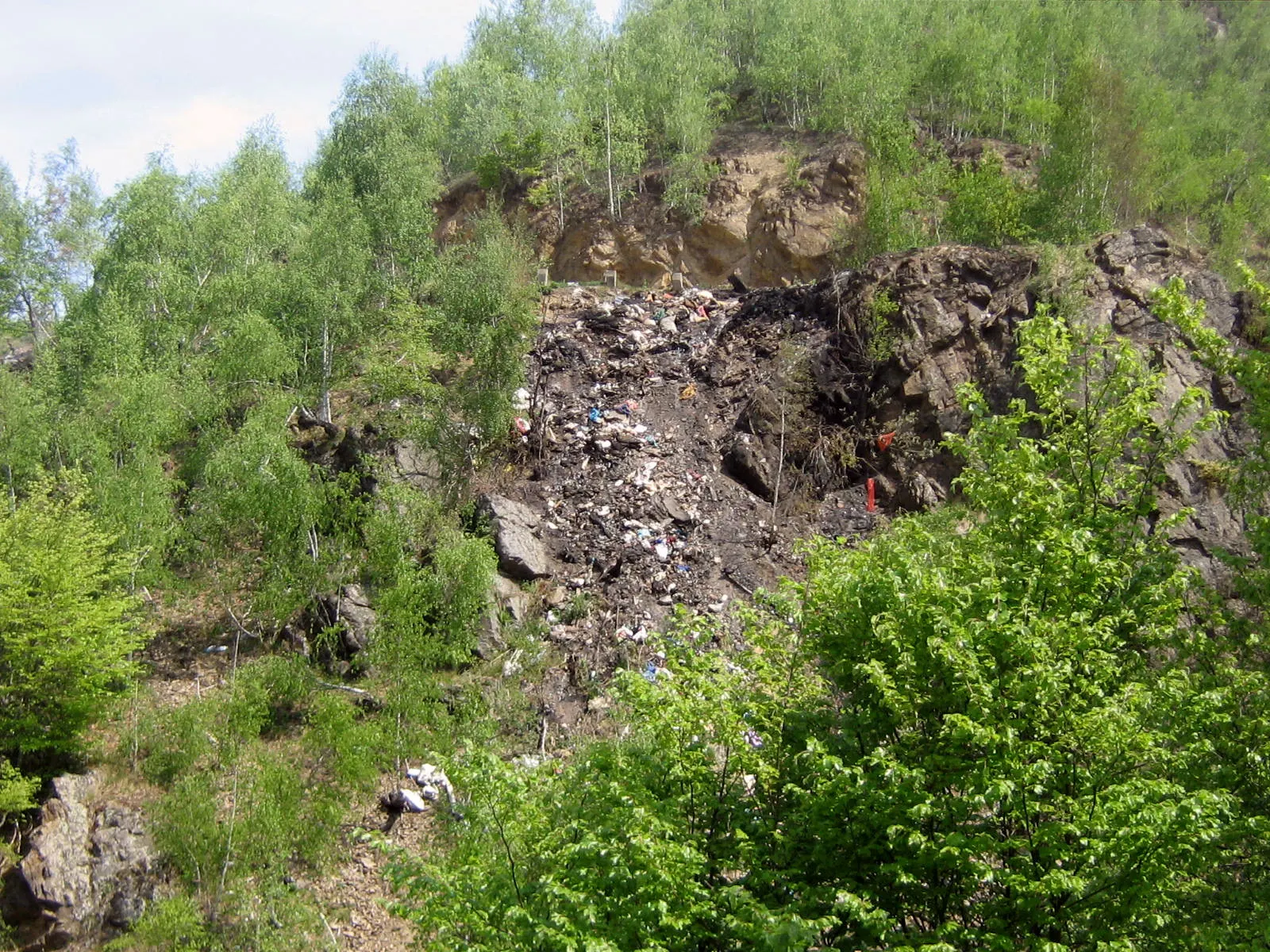 Românii nu respectă natura