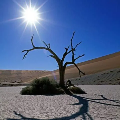 Vremea se anunţă deosebit de caldă, cu temperaturi specifice lunii lui Cuptor