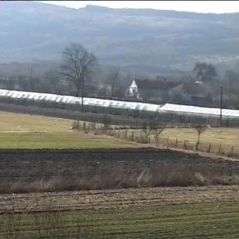 Nici băncile, nici fermierii nu ştiu prea multe despre creditul agricol 