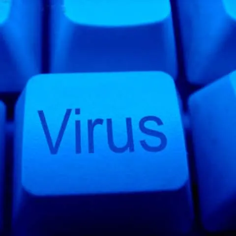 Activitatea Casei de Pensii Braşov este paralizată pentru că toate calculatoarele au fost virusate