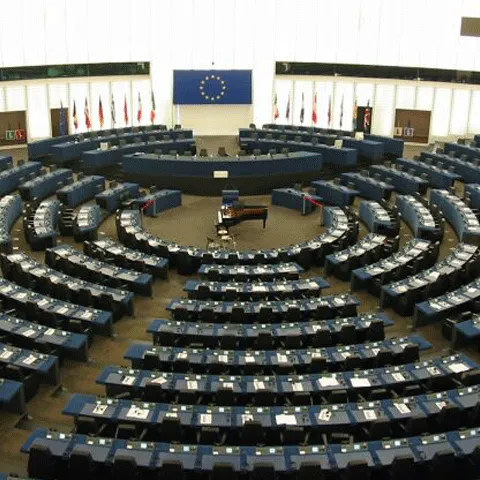 Minorităţile ar putea obţine un rezultat mai bun la alegerile europene de luna viitoare