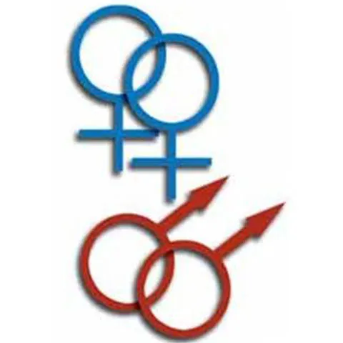Ambasadorii Marii Britanii şi Olandei la Bucureşti, printre susţinătorii manifestanţilor gay