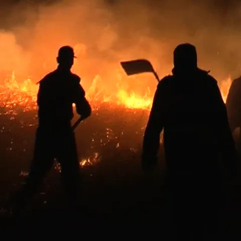 Un incendiu puternic a izbucnit la o fabrică de prelucrare a lemnului din Vâlcea