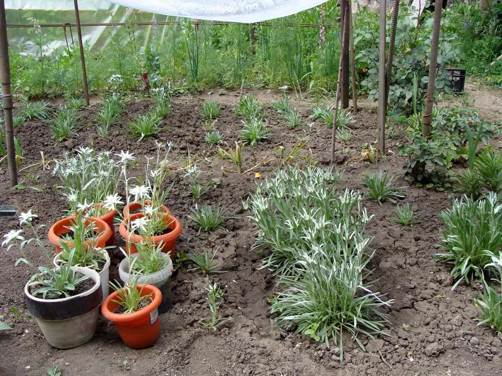 Frumuseţiile naturii