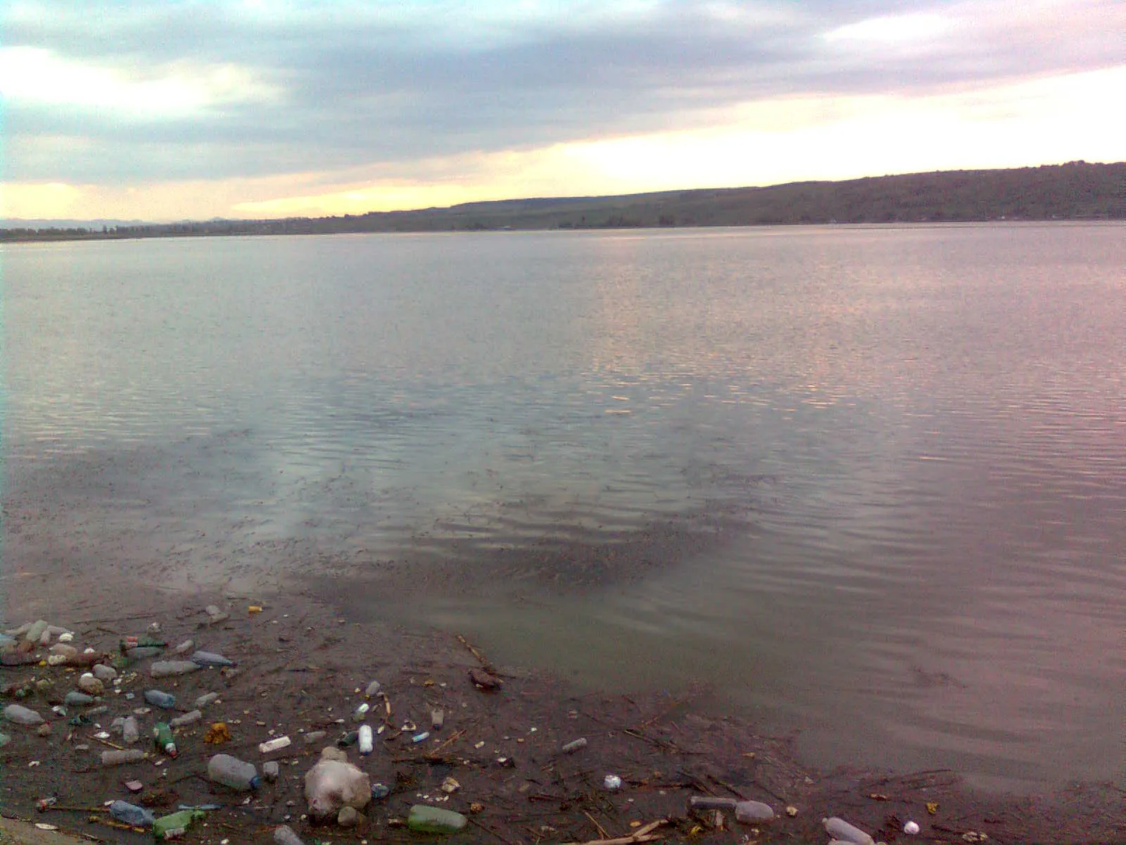 Peturi aruncate pe un lac de acumulare din Bacău 