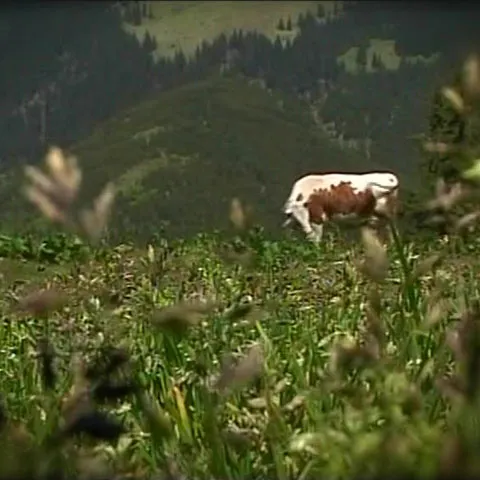 Maramureşul, un loc dincolo de timp, în care moroşenii păstrează tradiţiile şi obiceiurile de odinioară