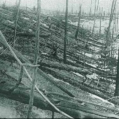 Un OZN s-a ciocnit intenţionat cu un meteorit pentru a salva Pământul, potrivit Tunguska Spatial Phenomenon Foundation