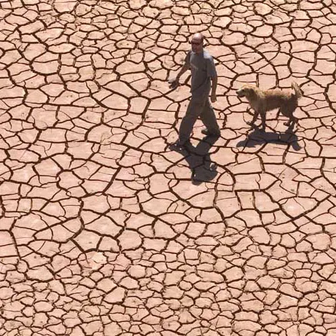 Schimbarea climatică provoacă anual moartea a 315.000 de oameni