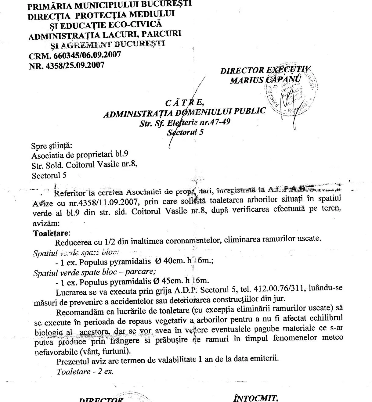 Inevitabilul s-a întâmplat: un copac a căzut peste 10 maşini din Capitală