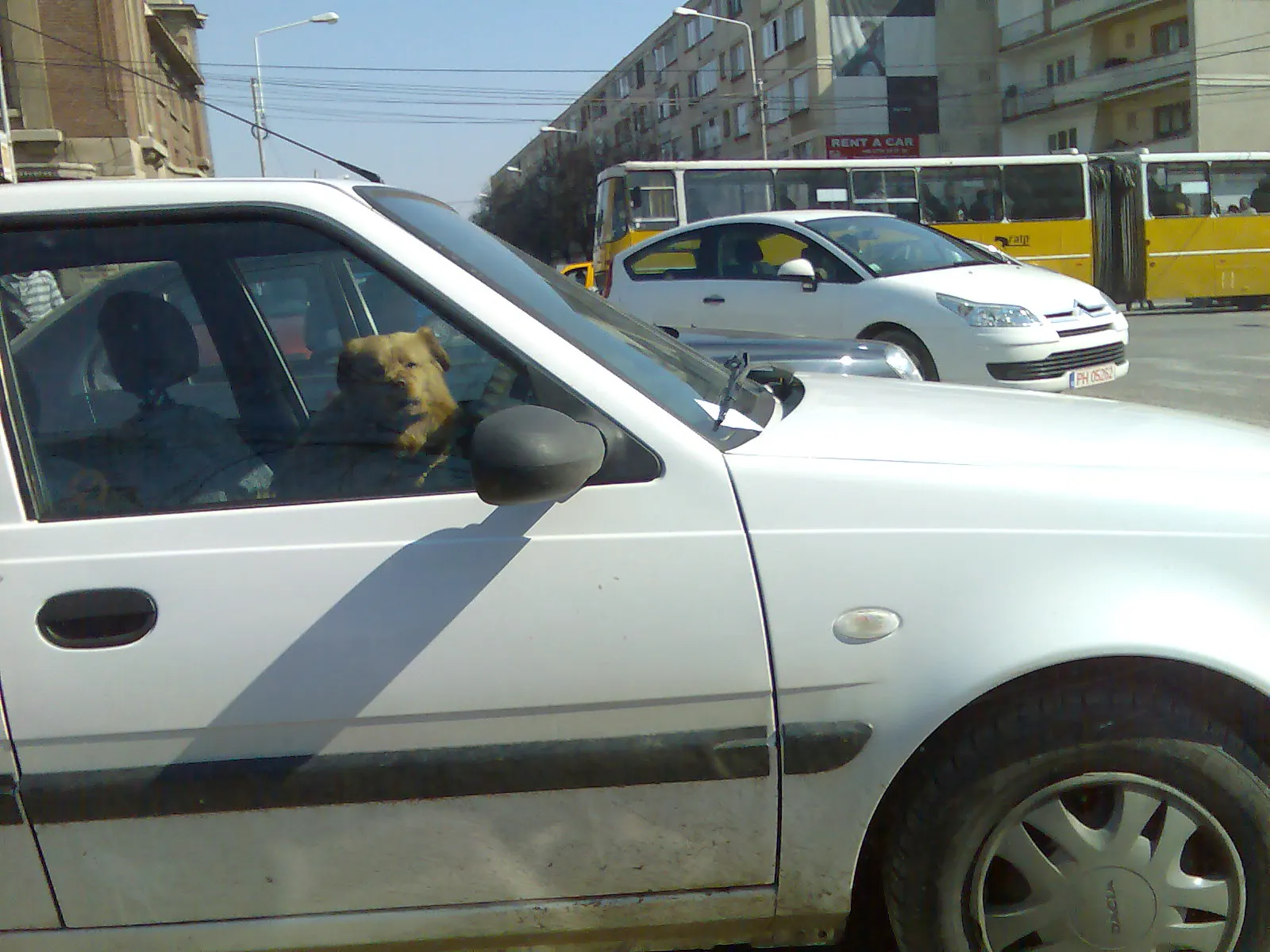 Participant la trafic în Ploieşti