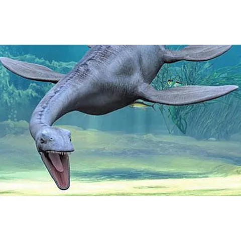 Rămăşiţele unei creaturi asemănătoare cu monstrul din Loch Ness, găsite pe o plajă din Marea Britanie
