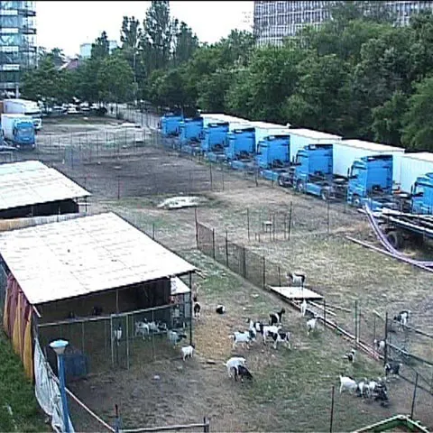 Circul Globus ar putea rămâne fără menajerie: În locul ei, va fi construit un bloc de 19 etaje