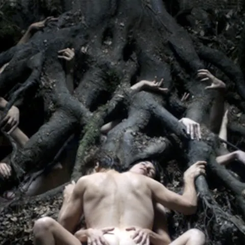 Controversatul "Antichrist", al lui Lars von Trier, ar putea să nu ruleze în România
