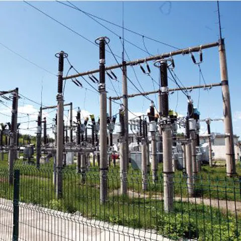 Ce va face Electrica cu profitul-record din 2008