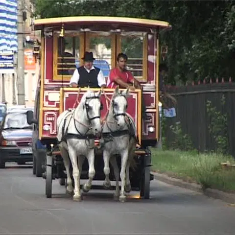 Tramvaiul tras de cai, distracţia de weekend a orădenilor