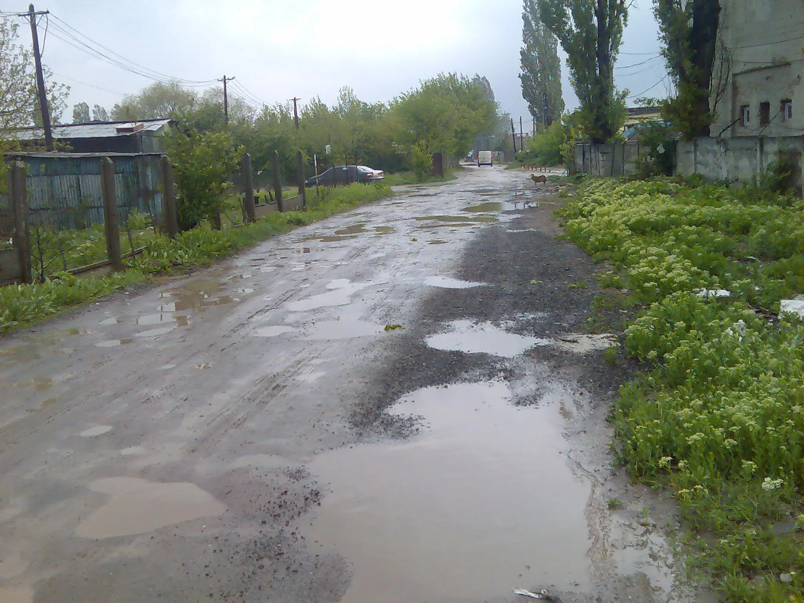 După o ploaie torenţială, nu se mai poate circula pe o stradă din judeţul Ilfov