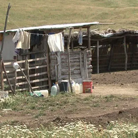 Un băiat de 12 ani din Bacău îşi întreţinea tatăl muncind într-o stână