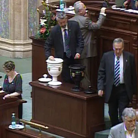 Cazurile M. Iacob Ridzi şi Adrian Năstase, dezbătute la Camera Deputaţilor 