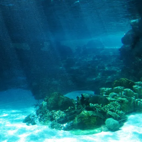 Cercetătorii au descoperit zona cea mai lipsită de viaţă din ocean