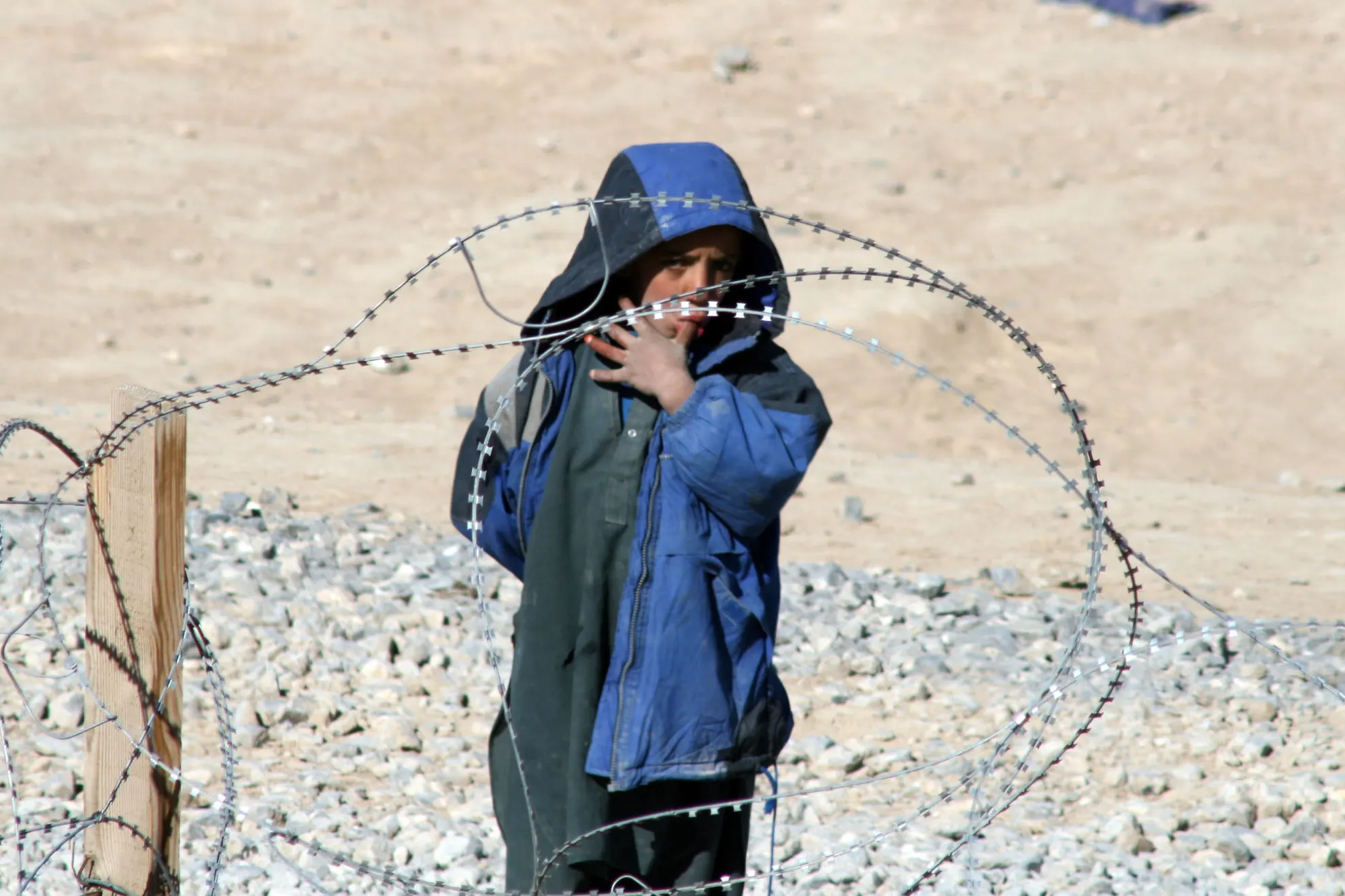 Adelin Petrişor: Afganistan 2008