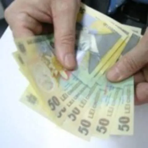 În Plenul Senatului se votează legea privind cumulul pensie-salariu