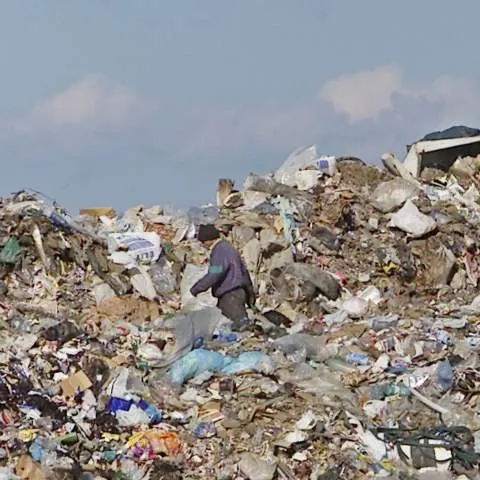 În Timişoara gunoiul se aruncă direct pe câmp pentru că nu există un loc special amenajat în acest sens