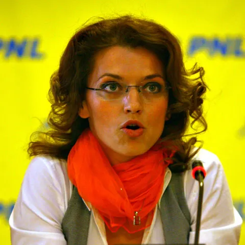 Liberalii consideră că activitatea Comisiei de anchetă în cazul Ridzi trebuie să continue