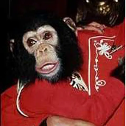 Moştenirea reprezentată de animalele lui Michael Jackson ridică noi probleme