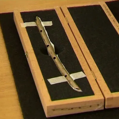 Arheologii au descoperit în Germania cel mai vechi instrument muzical din lume