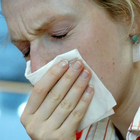 89.921 cazuri, 382 decese - ultimul bilanţ OMS pentru gripa porcină