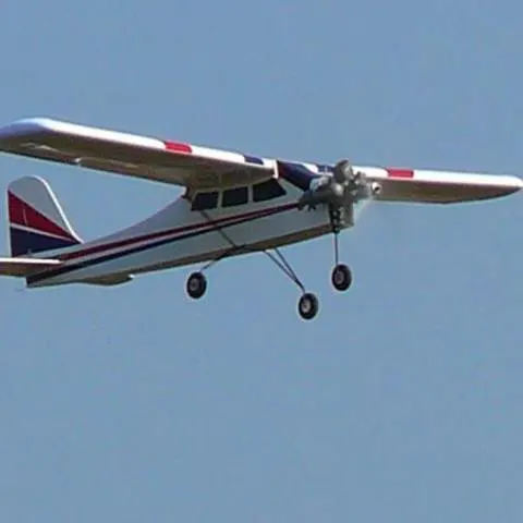 Tatăl pilotului decedat la Clinceni este principalul martor al accidentului aviatic