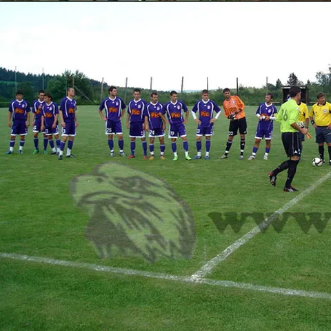 FC Argeş-AS Cannes 0-1, într-o partidă amicală desfăşurată în Austria