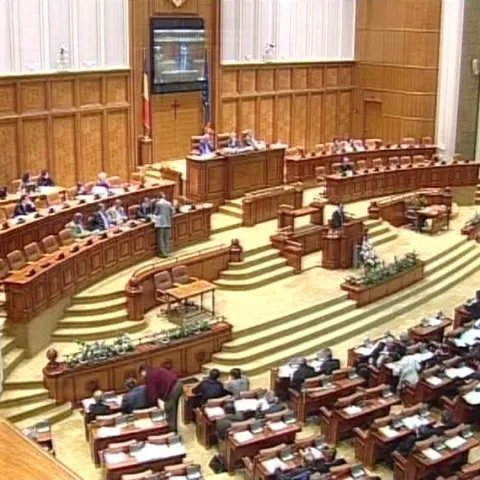Sesiune extraordinară pe 27 iulie în Parlament, în cazul Ridzi