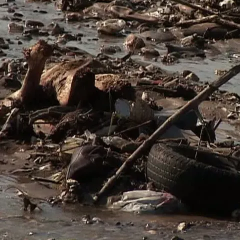 Râul Seviş este plin de peturi, saci de plastic şi cauciucuri