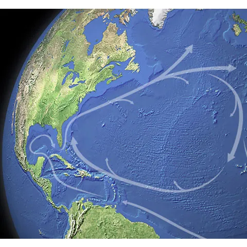 Dereglarea curenţilor din Atlantic, factor al schimbărilor climatice, e mai lentă decât se anticipase