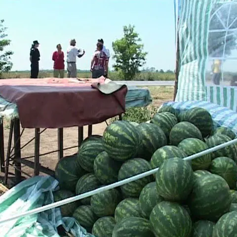 Ţăranii din Timiş nu mai au voie să vândă pepeni pe marginea şoselei