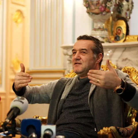 Becali a cerut în Parlamentul European mai mult lapte în şcoli