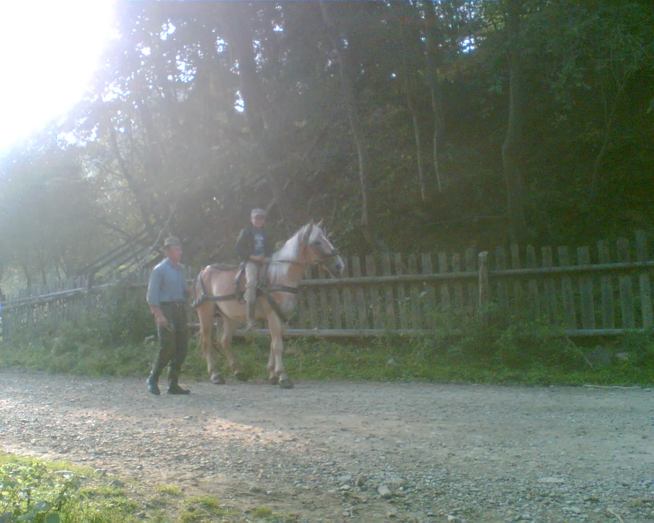 Bucovina