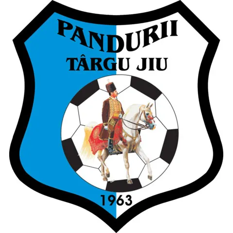 Pandurii Târgu Jiu a rămas fără vedeta Ilie Iordache