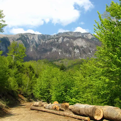Cele mai grele trasee de alpinism din Europa sunt în Munţii Căpăţânii