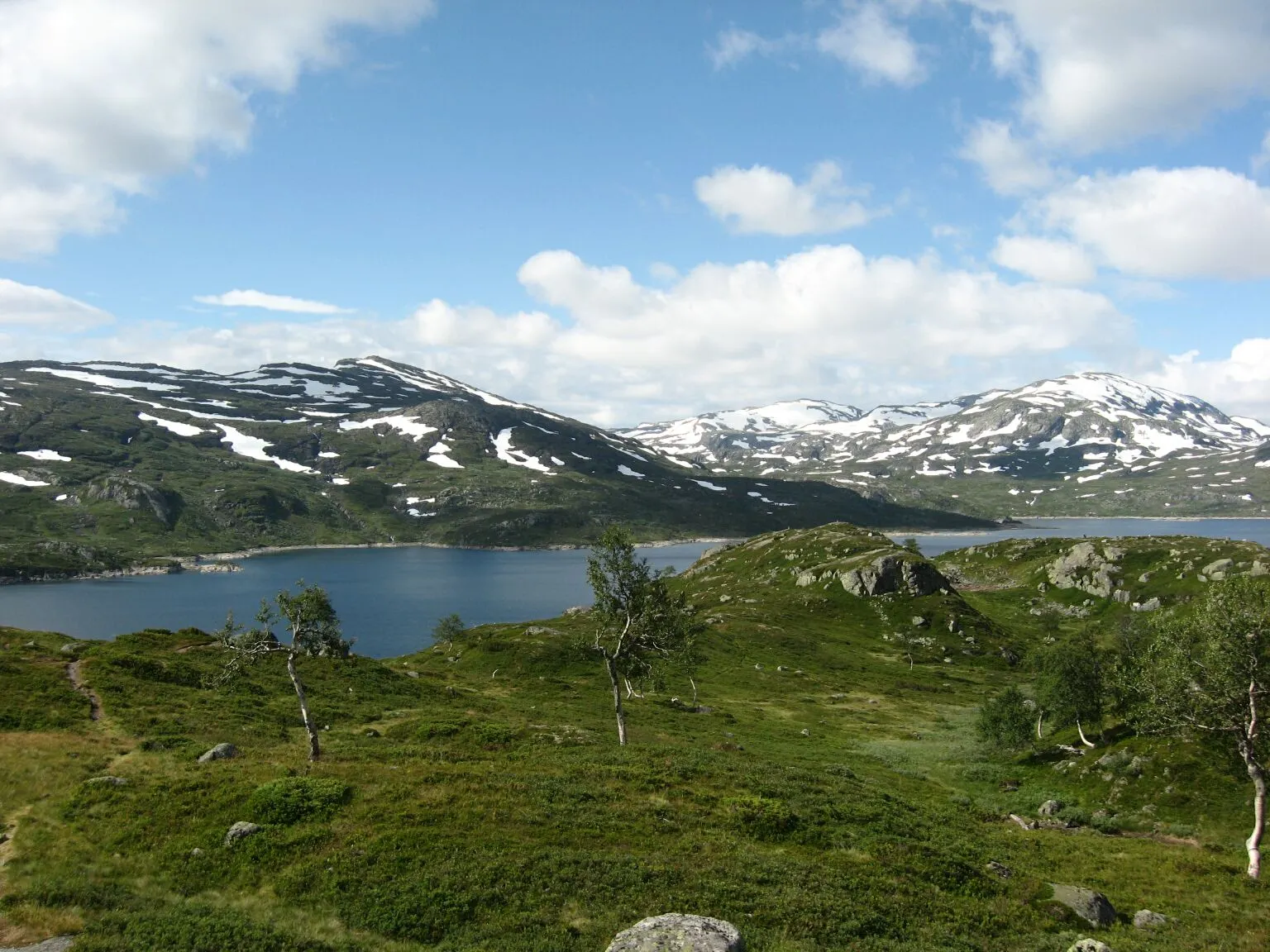Norvegia