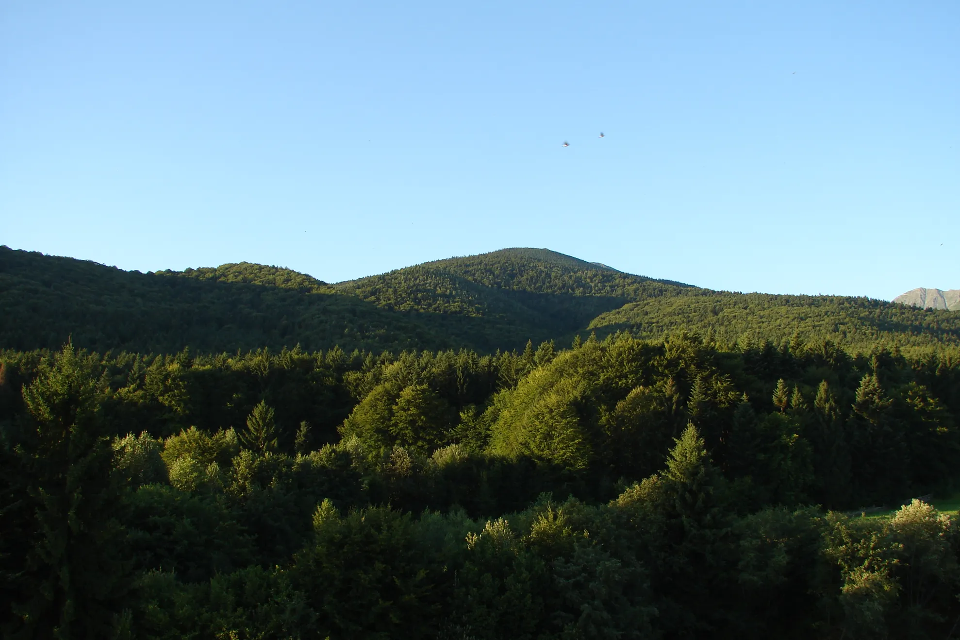Muntii Apuseni