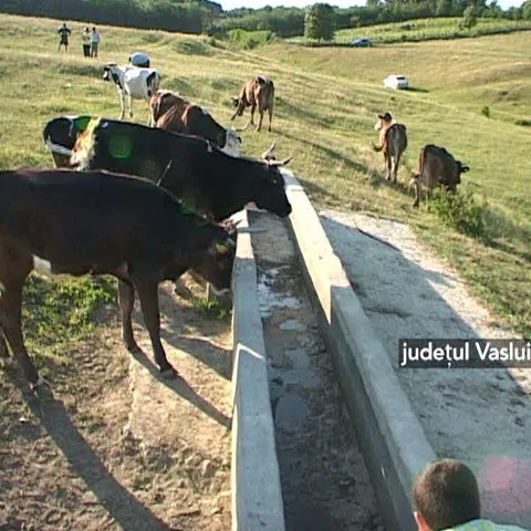 Sute de fântâni din judeţul Vaslui au secat din cauza secetei