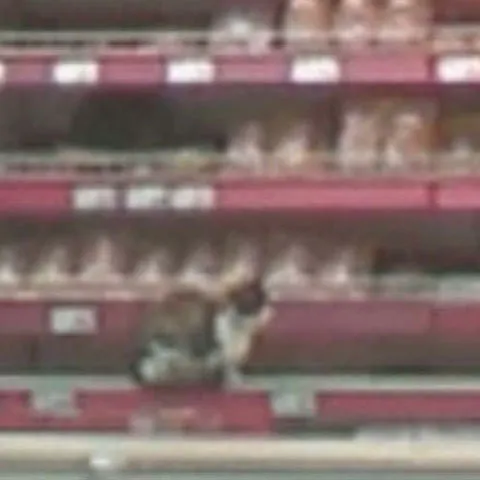 Kaufland Colentina a fost amendat şi închis pentru 48 de ore